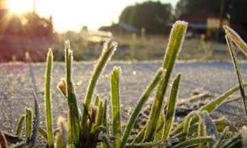 jardiner en novembre